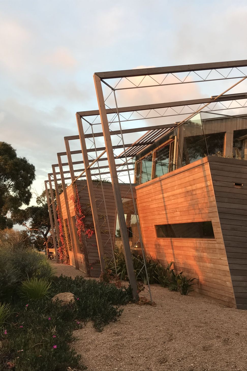 A series of angled steel trellis frames catch the warm sunset light, anchoring the tiered, timber-clad forms to the hillside landscape