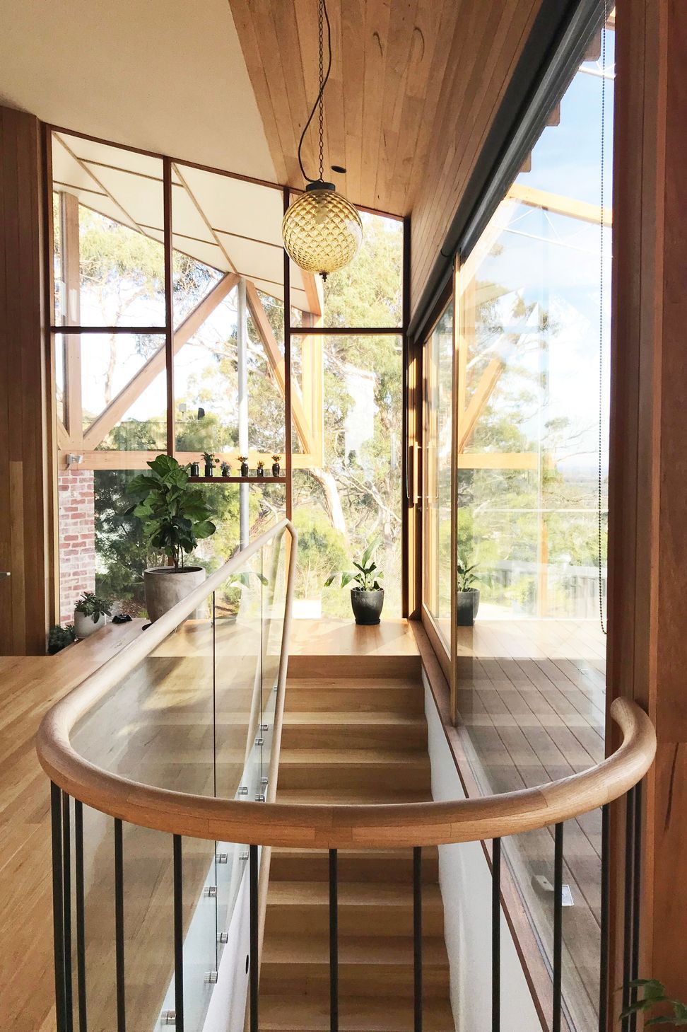 A custom curved timber handrail guides the internal circulation path, framed by floor-to-ceiling glass walls that highlight structural timber truss frames externally