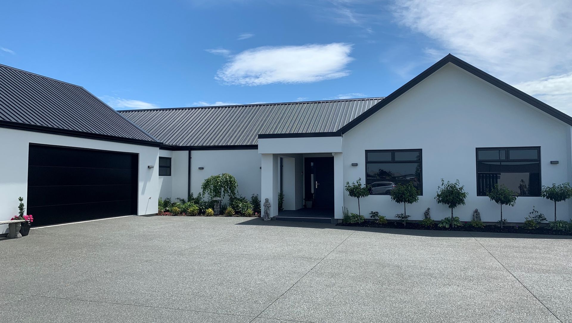 Vibrant & Modern banner