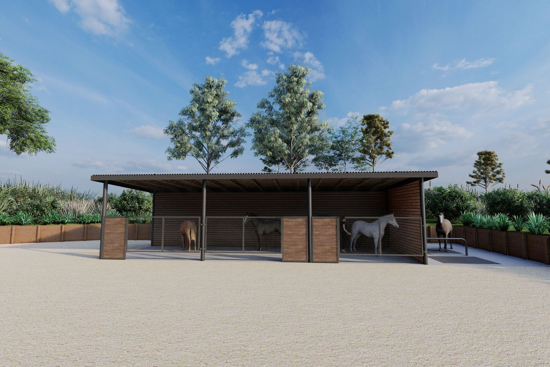 Credit / Kevin Lorigan