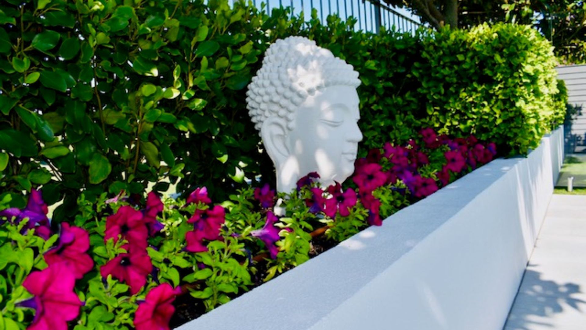 Resort Living banner