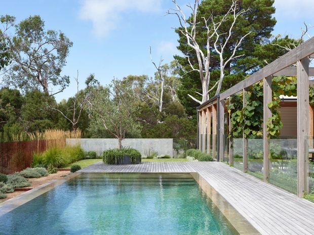 A landscaped residential outdoor area featuring a long rectangular swimming pool, timber decking, native-style planting, and a glazed timber-framed pavilion or enclosed outdoor room along one side. The setting is leafy and secluded, with a light, natural material palette and clear blue sky.
