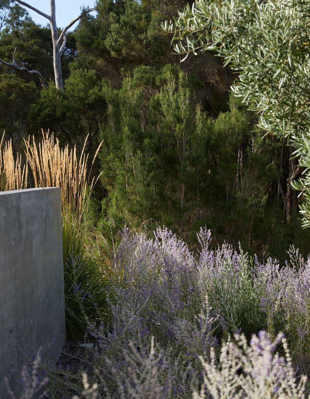 Honeysuckle House Shoreham