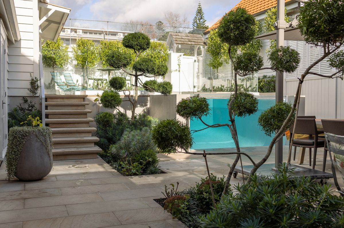 St Marys Bay Courtyard