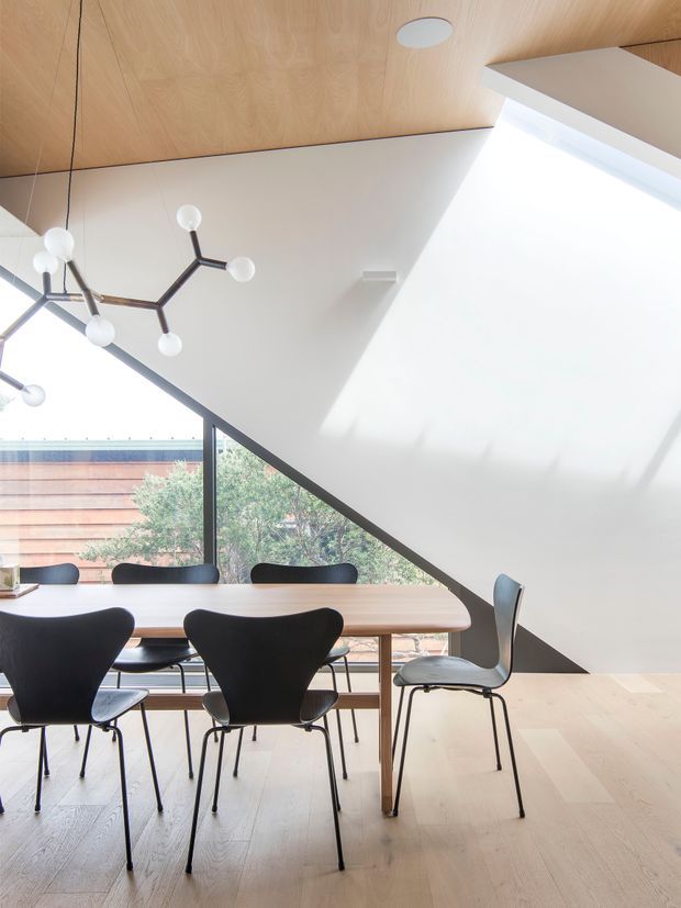 Bright contemporary dining area with a long timber dining table and sculptural dark dining chairs. The room features pale timber flooring, a warm timber-lined ceiling, white walls, a dramatic sloping ceiling plane, large corner glazing, and a sculptural branching pendant light.
