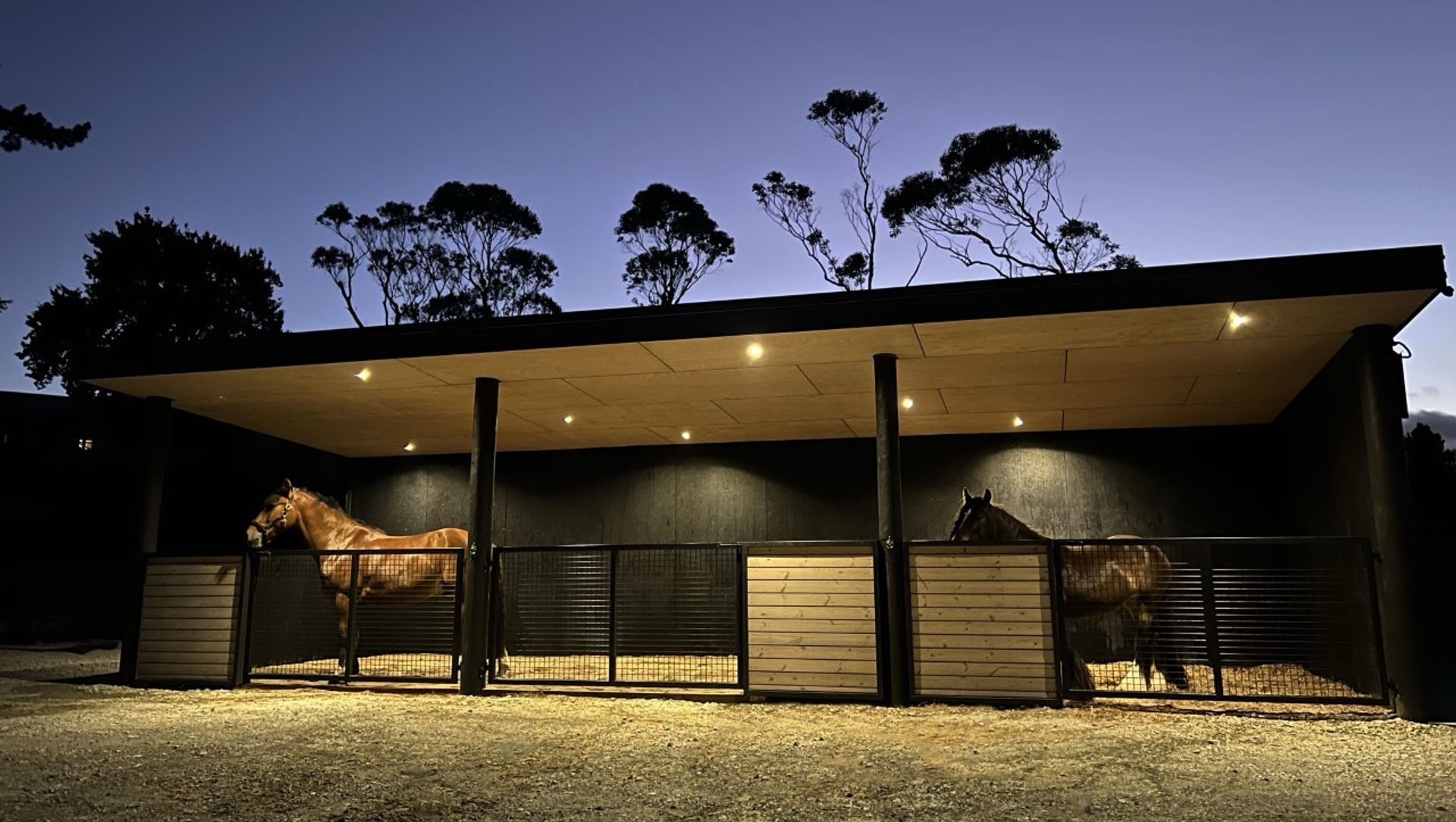 Taupaki Stables banner