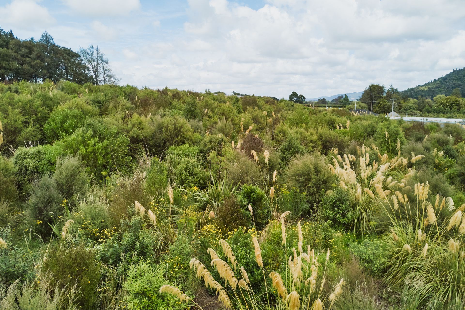 A Legacy for Future Generations