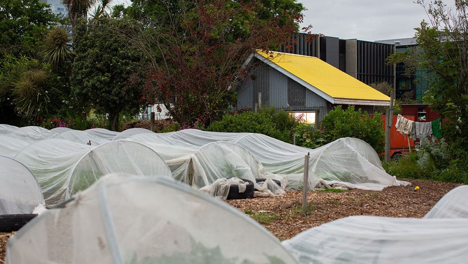 Cultivate Hut banner