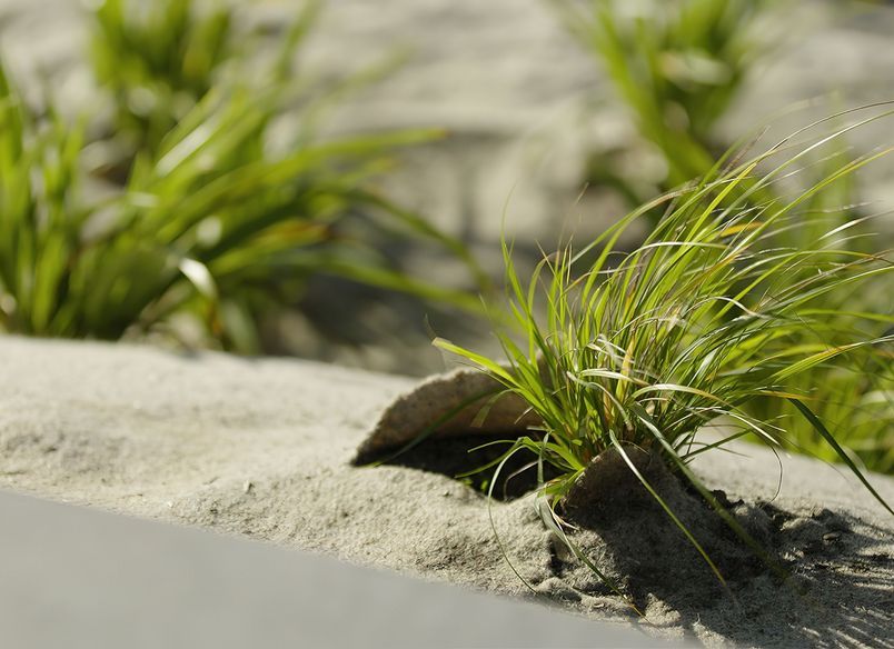 Farringdon Pump Park