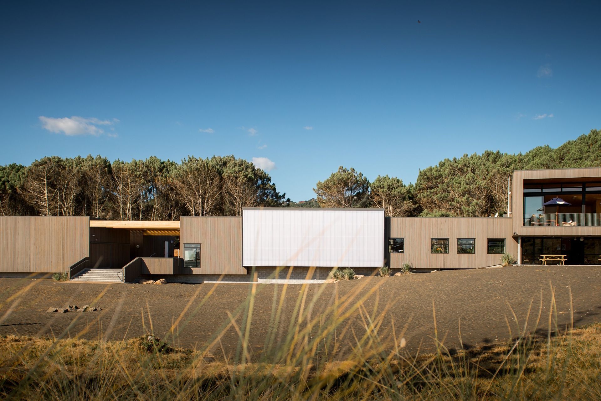 Project Timber: Muriwai SLC - January 2021