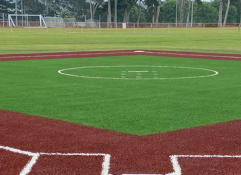 SOFTBALL | North Harbour, Auckland