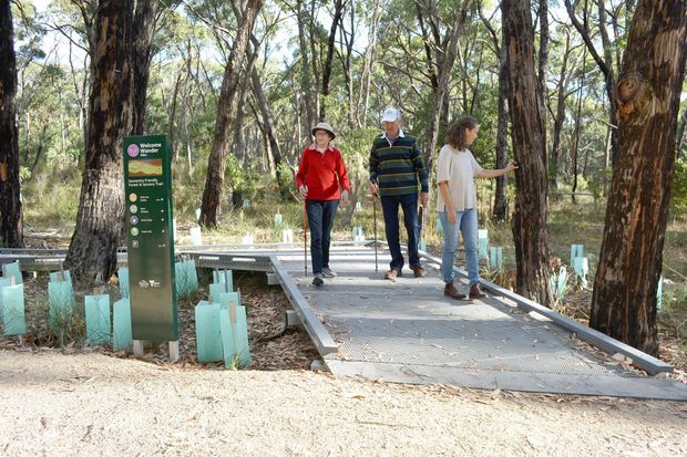 A group of people walking along a raised metal boardwalk through a natural eucalyptus woodland. A green interpretive sign stands beside the path, with protective tree guards around young plantings and dense native vegetation surrounding the walkway.
