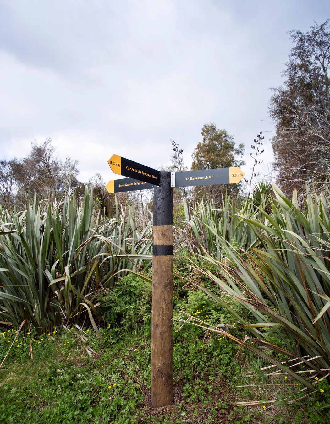 Waiwhakareke Natural Heritage Park