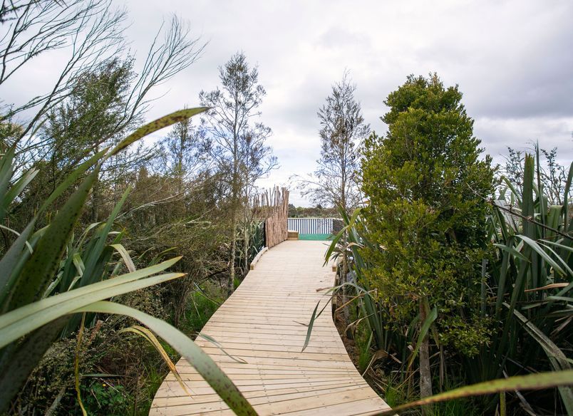Waiwhakareke Natural Heritage Park