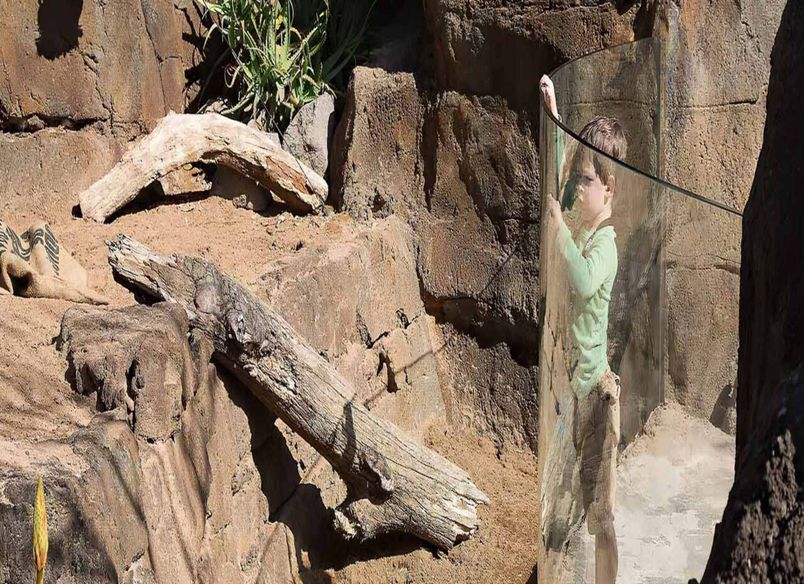 Auckland Zoo – Commercial Bent Glass