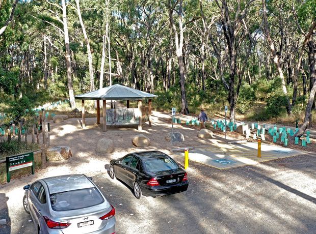 A wooded outdoor visitor or recreation site with a small open-sided shelter featuring a corrugated metal hipped roof, timber posts, picnic-style seating, signage, marked parking spaces, and multiple vehicles. Native eucalyptus woodland surrounds the gravel and paved area.