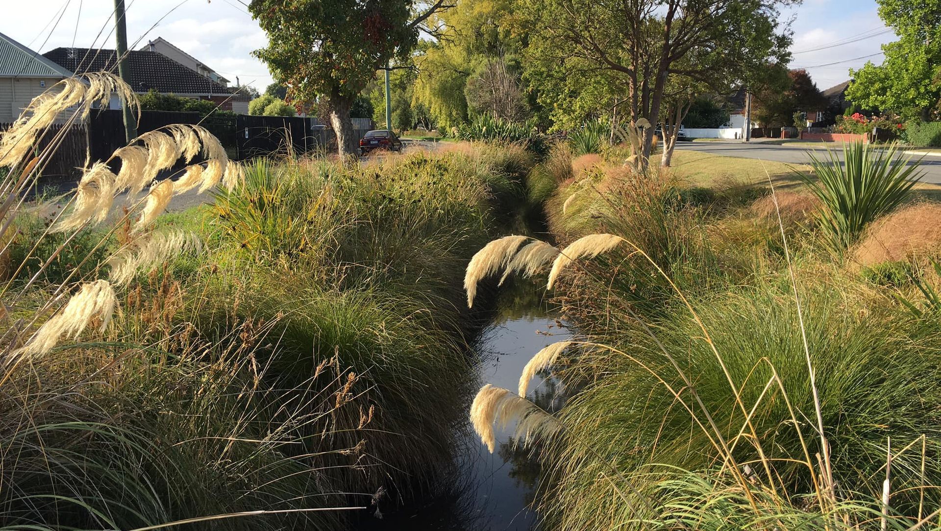 Shirley Stream revegetation banner