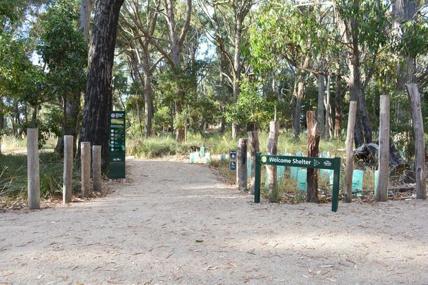 A wooded outdoor entrance to a marked walking trail or reserve, with a broad pale gravel path, timber bollards, green informational signage, and a sign labelled “Welcome Shelter.” Tall eucalyptus-like trees and native vegetation surround the pathway.