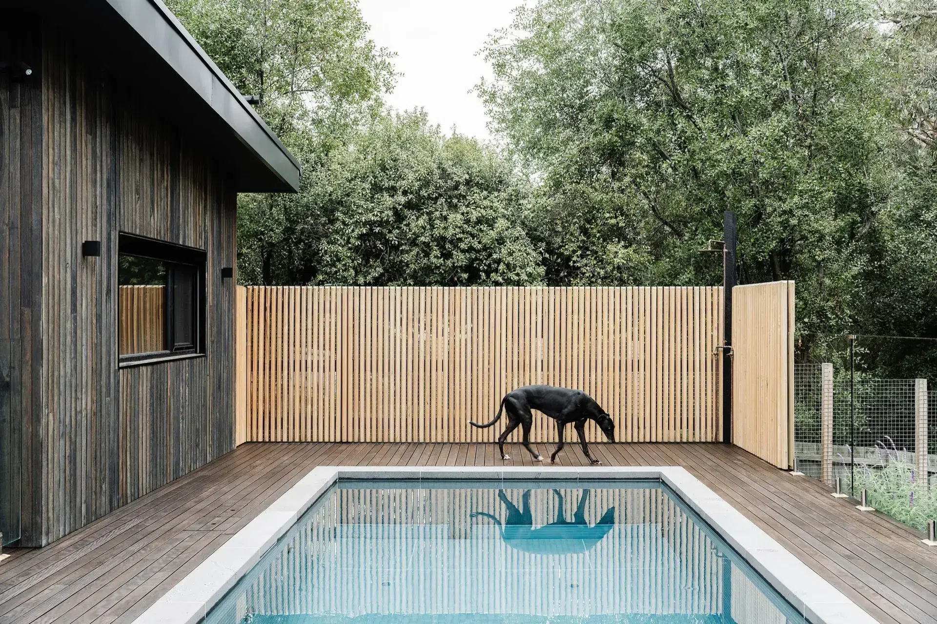 home-design-46.webp