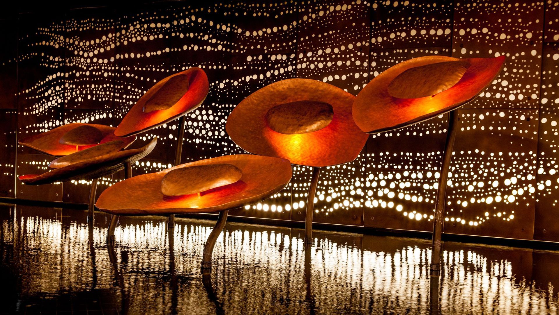 Harbord Diggers banner