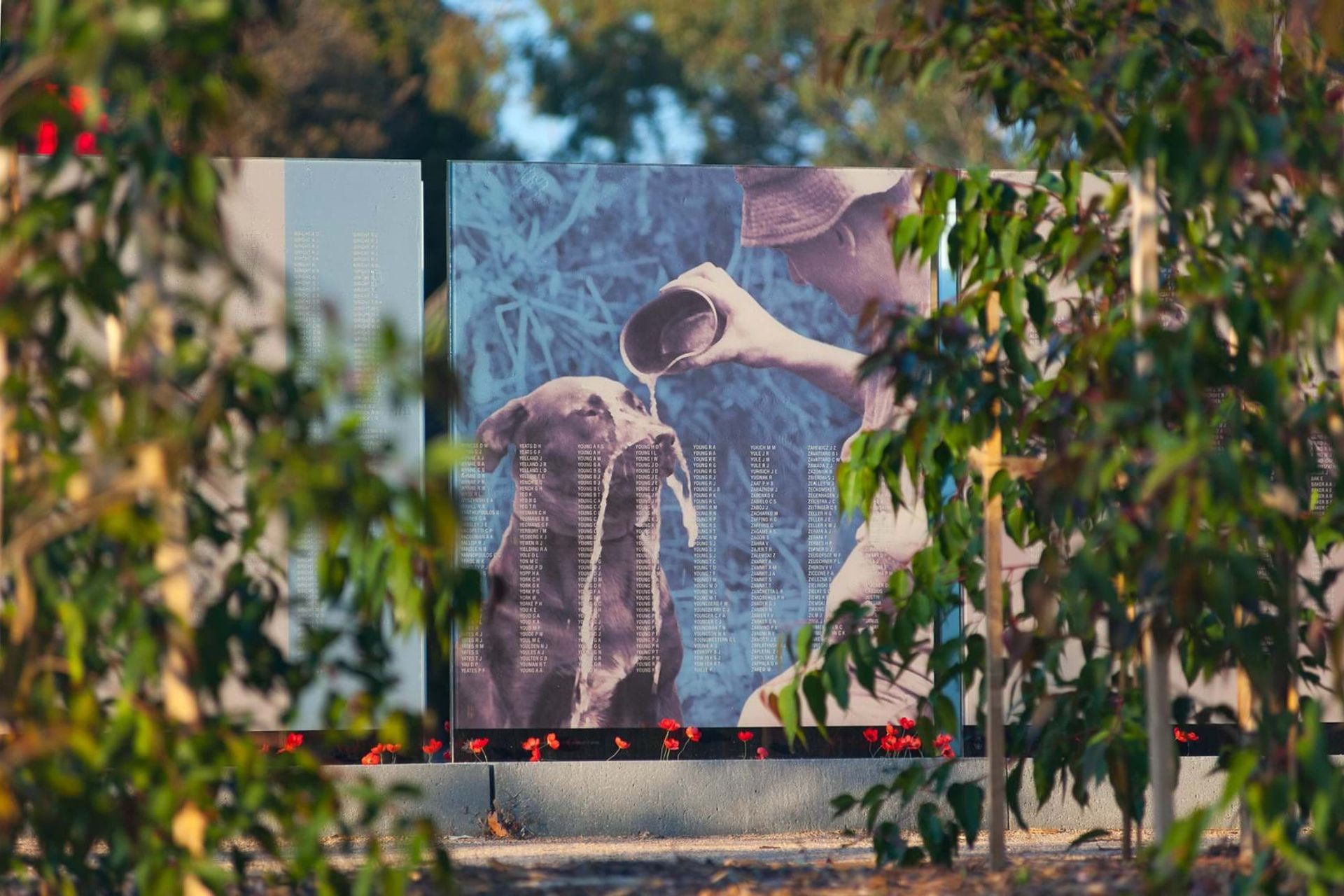 Vietnam Veteran Commemorative Wall