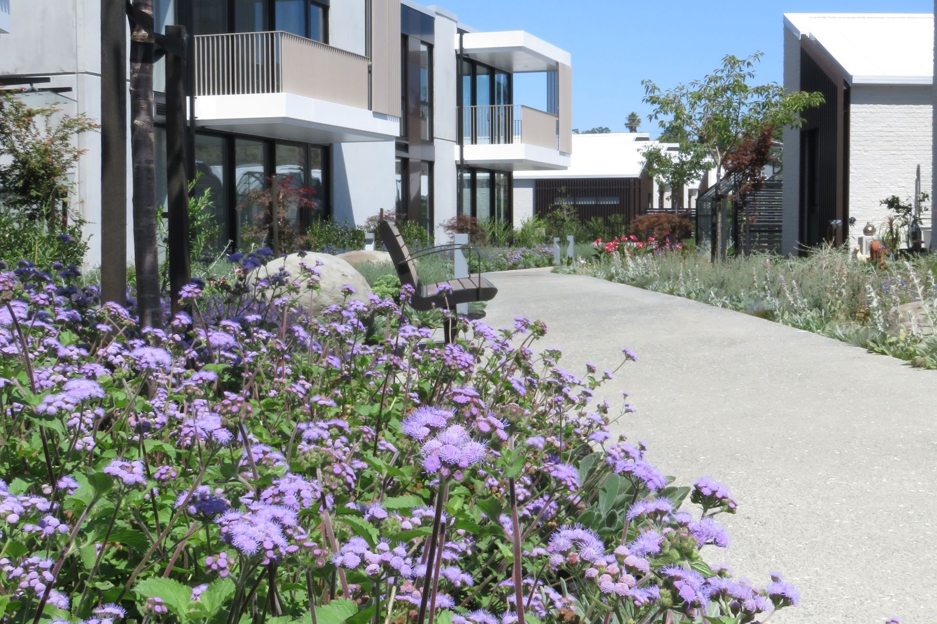 Elements such as interconnected pathways, seating and a covered deck platform encourage residents to linger and to meet with neighbours.