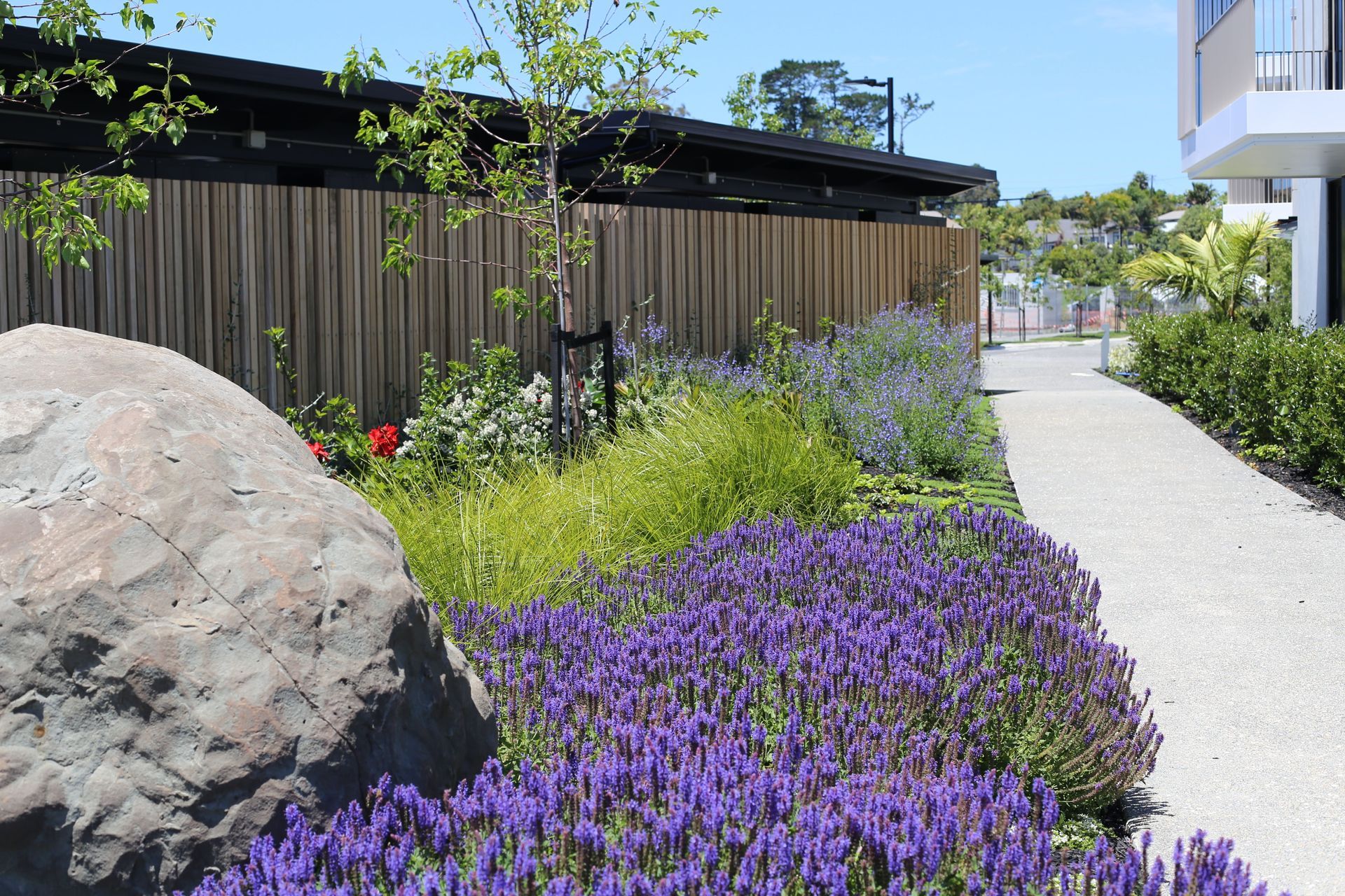 Access to the wider community has also been kept open, encouraging an easy ebb and flow between the village and its surroundings—and vice versa. Later stages will include a restaurant, which will be open to the public.