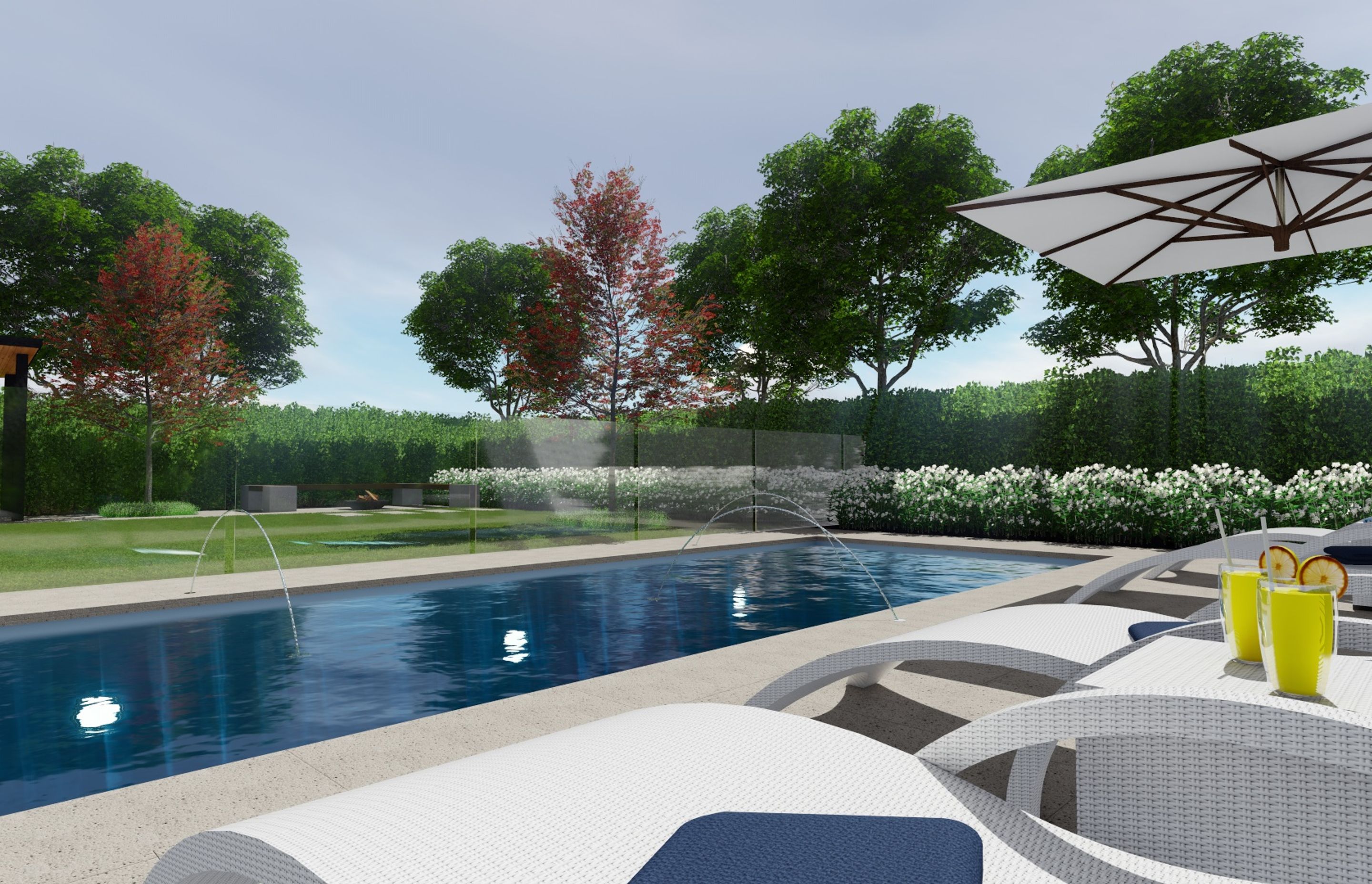 3D Renders: Anthony Scott | Landscape and pool design