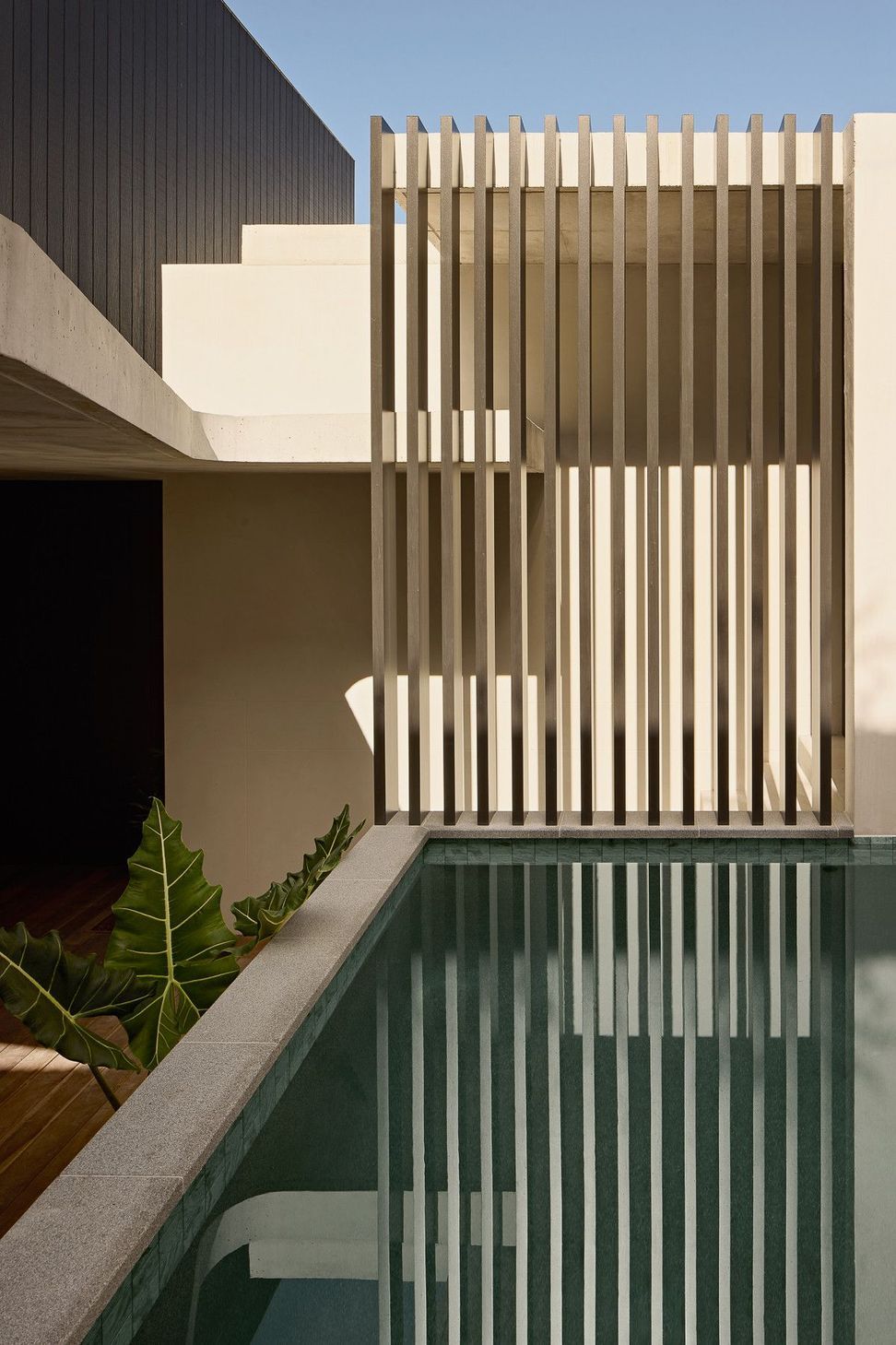 Wildflower Residence - Pool. Timber battens screening the pool and upper level.