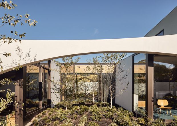 A contemporary courtyard viewed from outdoors, framed by a sweeping curved white canopy or parapet and extensive floor-to-ceiling glazing. Dark structural posts and window frames contrast with pale rendered walls, while a planted garden courtyard occupies the foreground and a glimpse of an interior seating area is visible through the glass. The composition emphasizes indoor-outdoor connection, reflected light, and clean geometric forms under a clear blue sky.