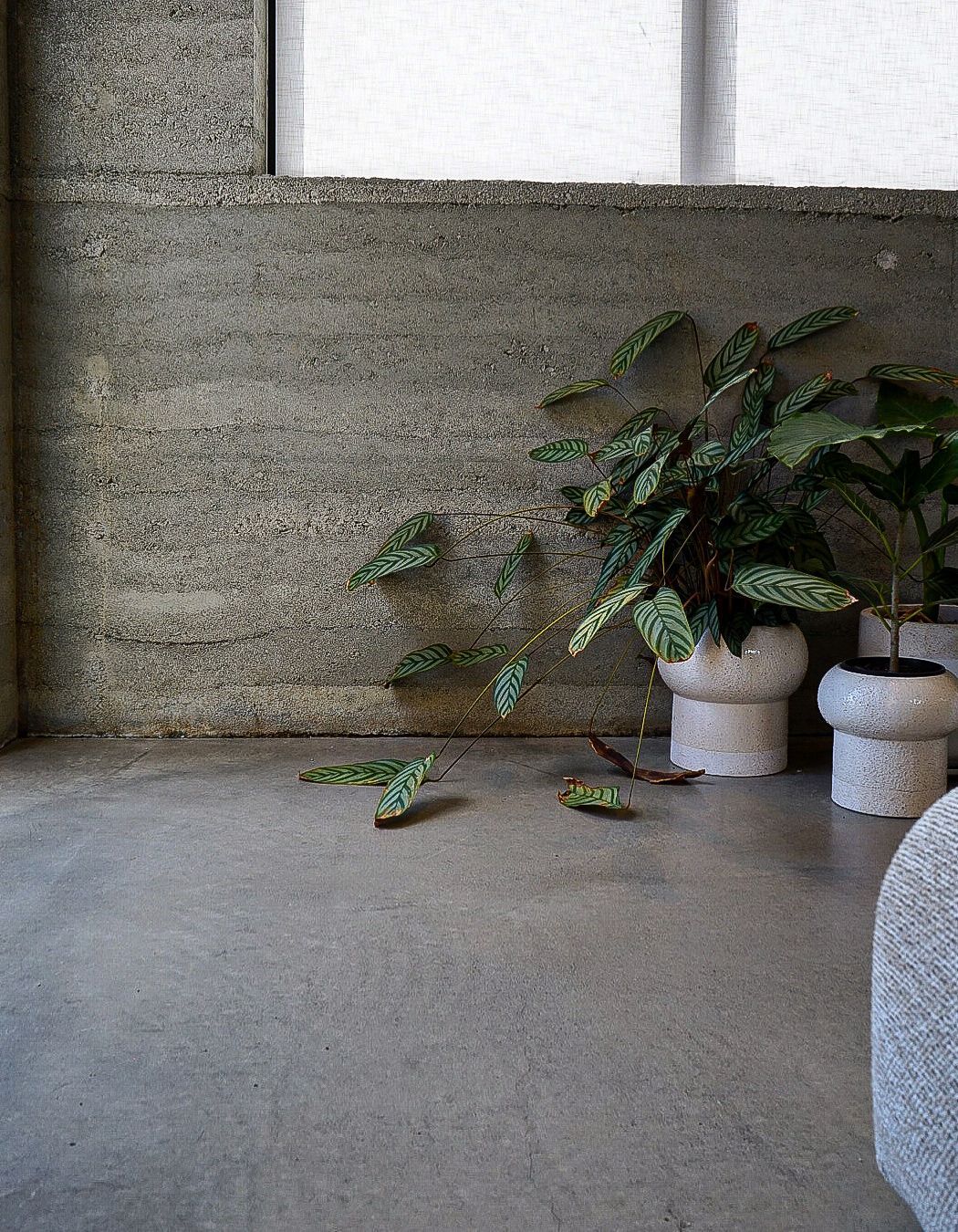 Luxury Industrial Living