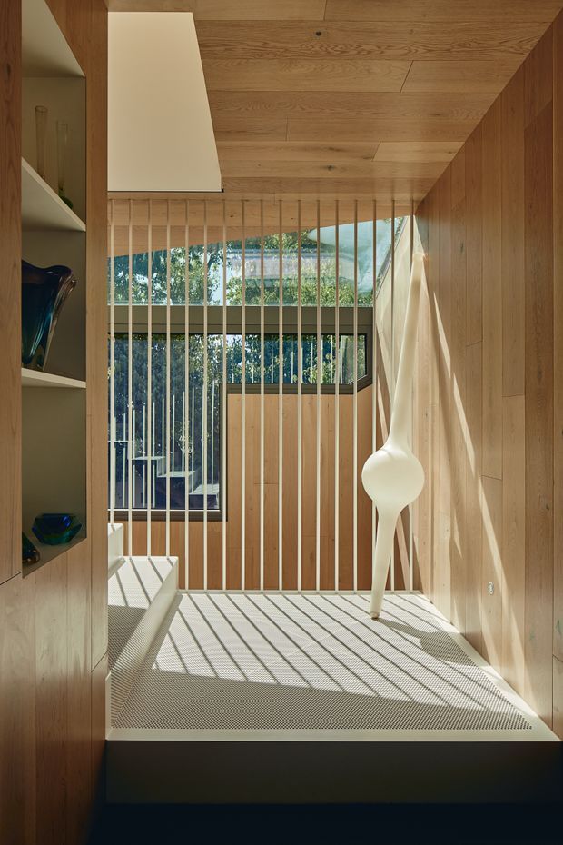 A warm, timber-lined interior landing or stairway with a raised mesh walkway, vertical timber balustrade, built-in display shelving, and a sculptural white pendant light. Floor-to-ceiling glazing brings in strong sunlight and views of greenery, creating dramatic linear shadows across the space.
