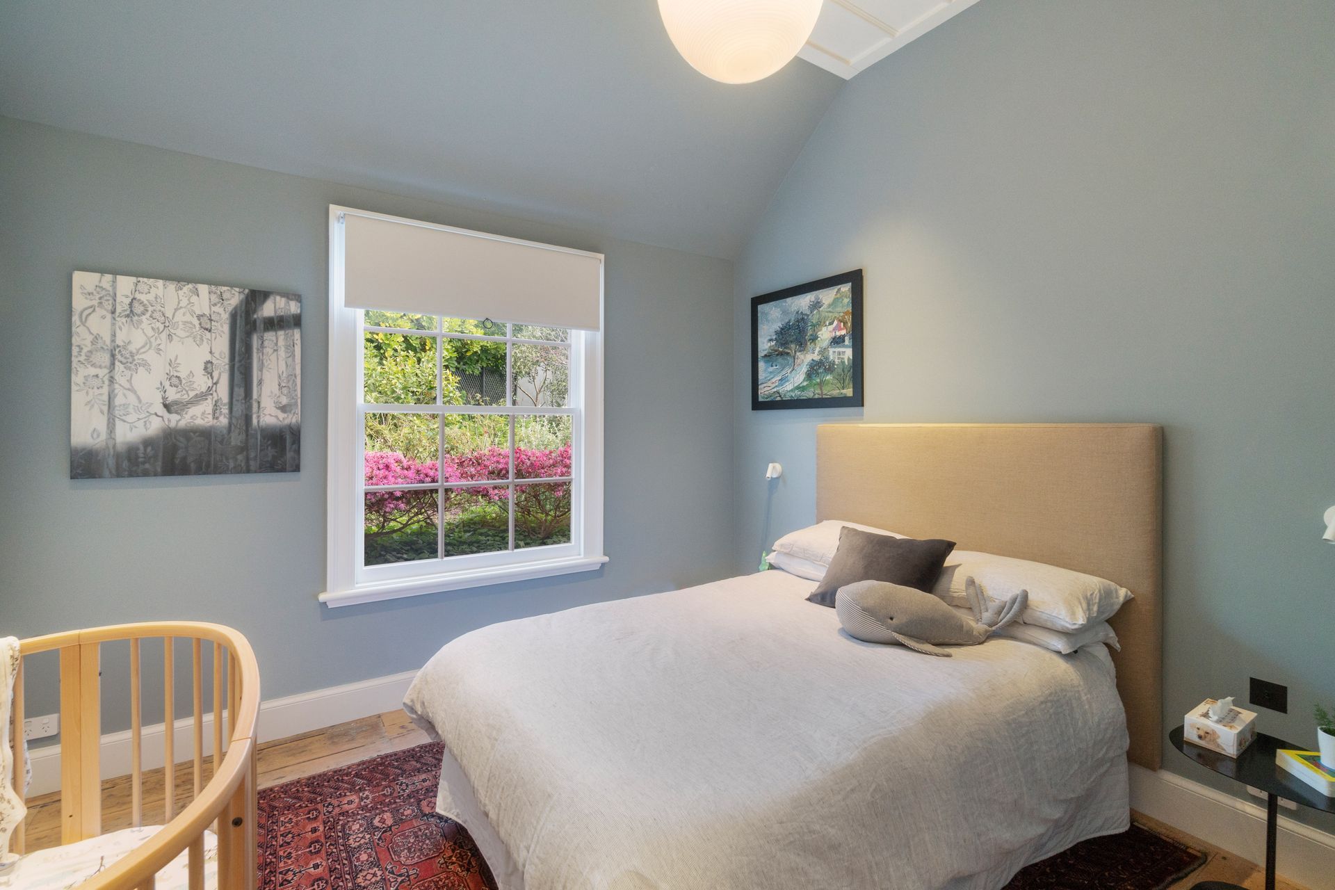 Parnell - Renovation