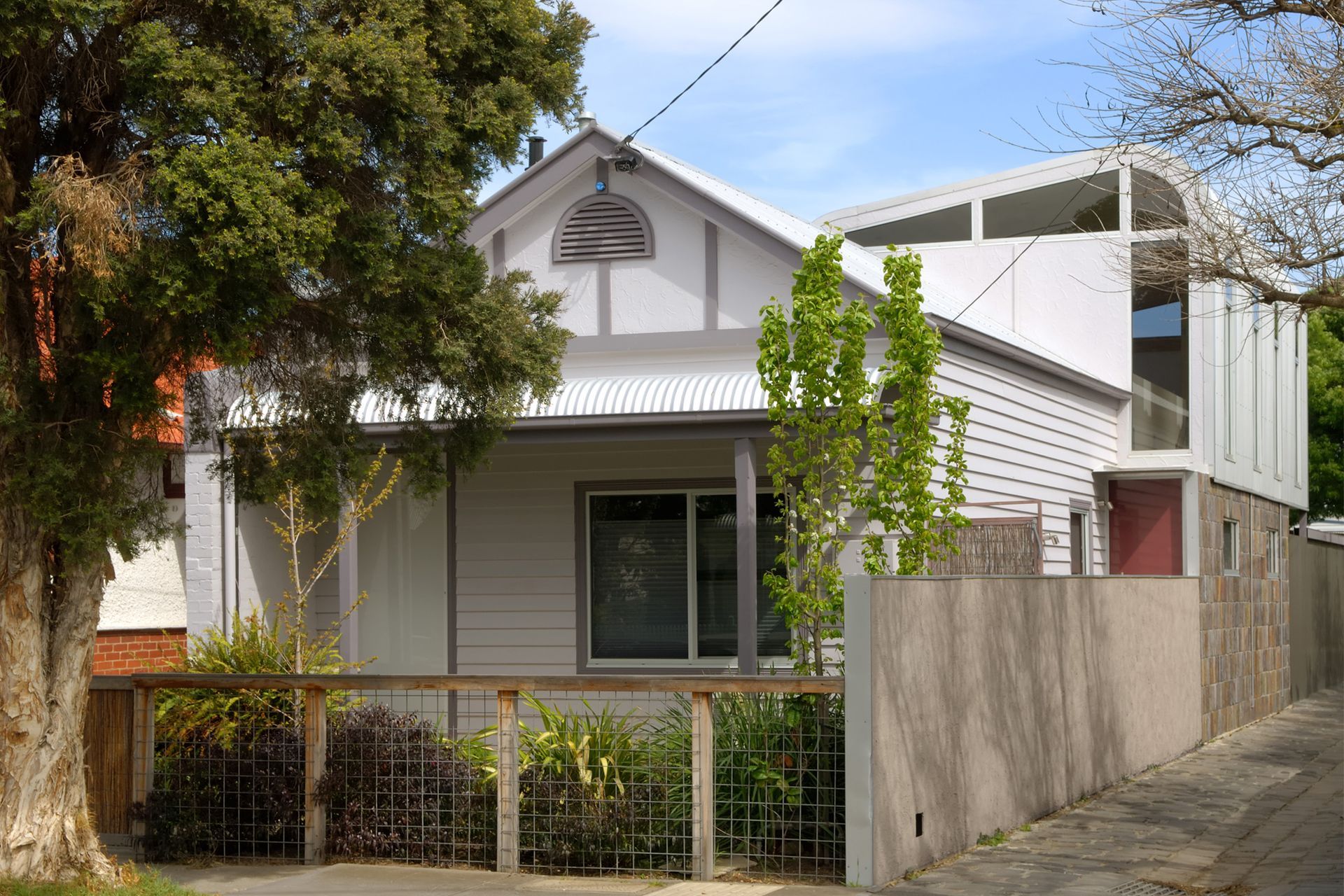 Photography: Shania Shegedyn