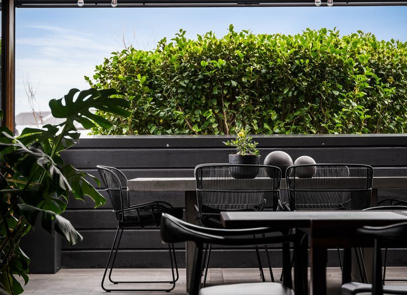 Tree House Deck Extension