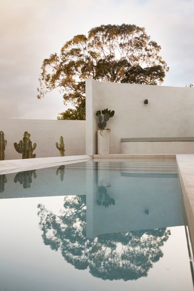 A tranquil architectural courtyard with a rectangular swimming pool reflecting a large tree and the surrounding pale rendered walls. The minimalist pool edge, built-in bench, sculptural wall light, and potted cacti create a restrained desert-inspired outdoor setting.