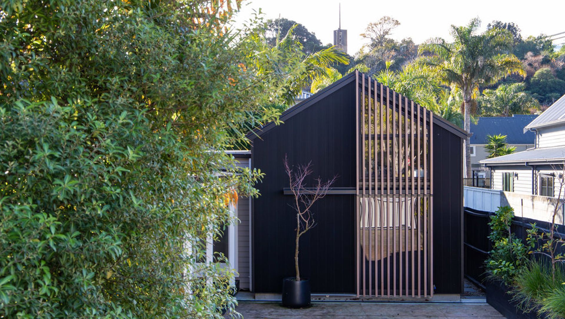 Kingsland Extension banner