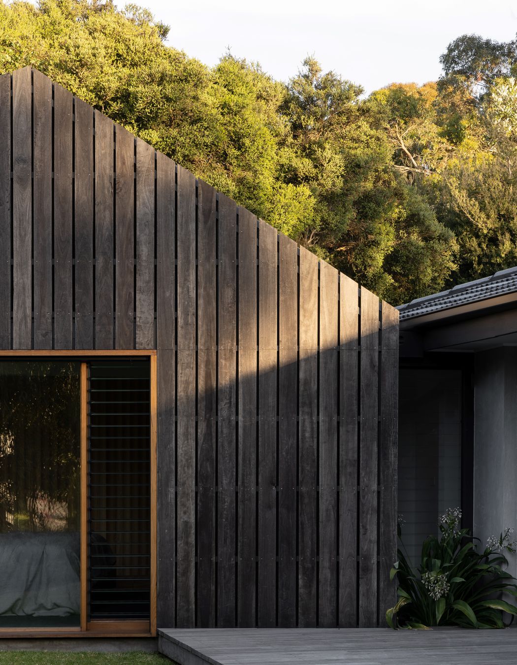 Point Lonsdale House