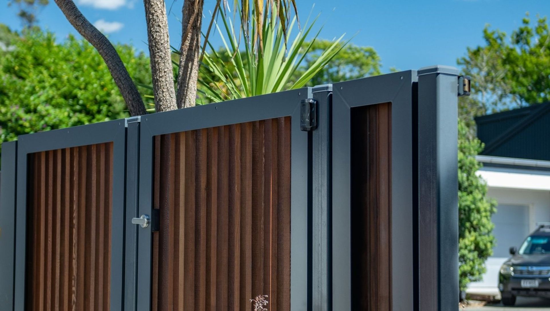 Project Thorpe banner