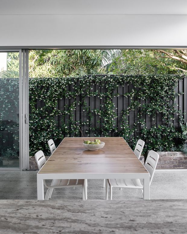 A bright, contemporary dining area with a large light timber dining table and white chairs positioned beside full-height sliding glass doors. The view opens to a leafy courtyard with a dark vertical fence, climbing greenery, and a low stone retaining wall. A grey concrete-look floor and a broad grey stone or concrete foreground surface create a restrained indoor-outdoor setting.