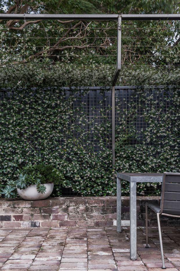 A shaded garden courtyard or patio with a dense climbing plant covering a dark metal trellis wall. A weathered brick retaining wall borders the paved area, with a concrete planter containing succulents and part of a simple outdoor dining table and chair visible in the foreground. Overhead metal framing supports additional greenery, creating a lush, enclosed outdoor setting.