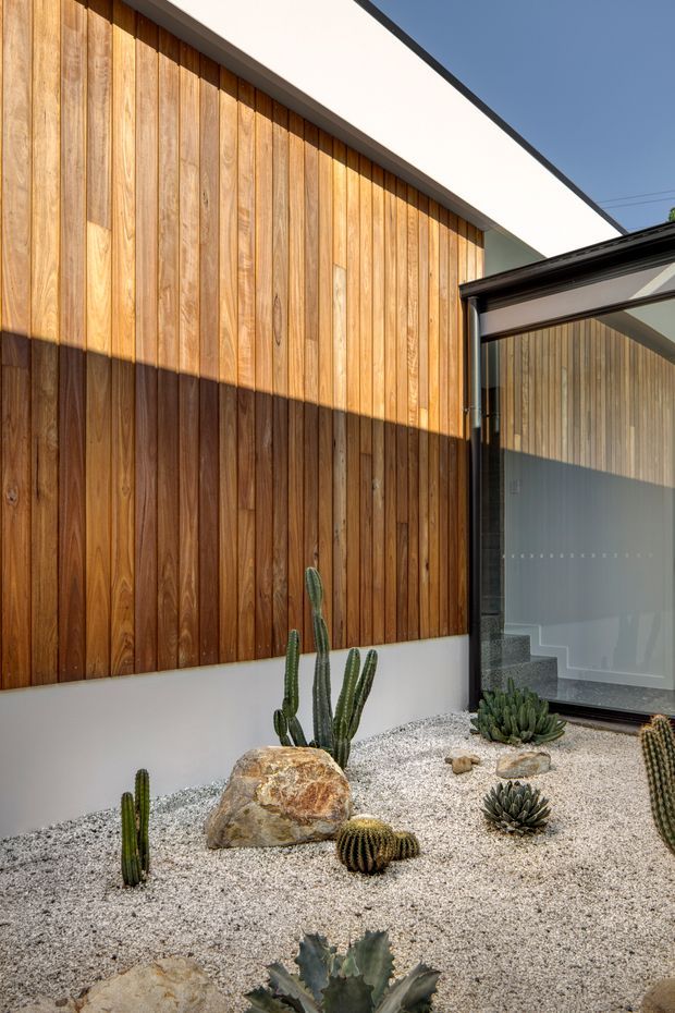 A modern courtyard garden beside a building, featuring warm vertical timber cladding, crisp white walls, dark metal-framed glazing, and a minimalist desert landscape of pale gravel, sculptural rocks, cacti, and succulents. Strong sunlight creates deep shadows across the timber facade. The composition highlights the relationship between the planted courtyard and the glazed interior beyond.