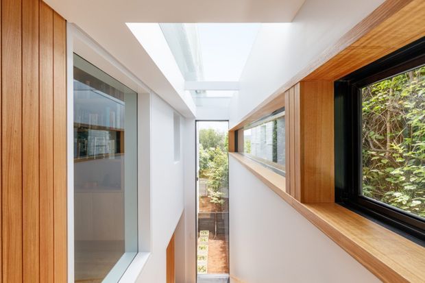 A bright, narrow contemporary hallway or circulation space with white walls, extensive warm timber window reveals and trim, and high-level glazing. A long skylight brings daylight into the corridor, while windows on both sides overlook greenery and an exterior lightwell or garden. The space has a clean, refined architectural character with strong linear geometry and integrated glazing.