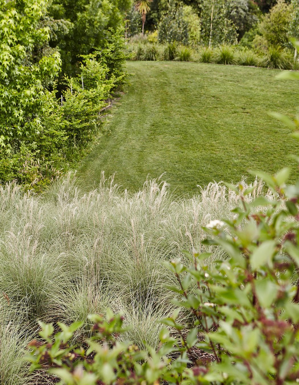 Te Mata Peak, Havelock North