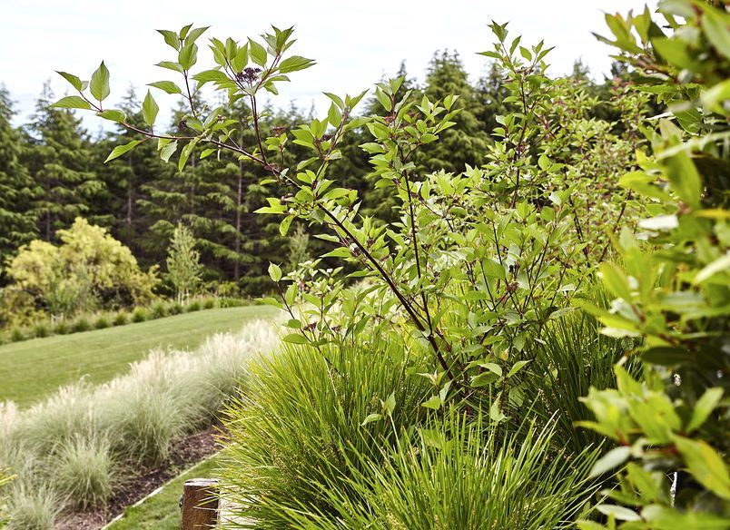 Te Mata Peak, Havelock North
