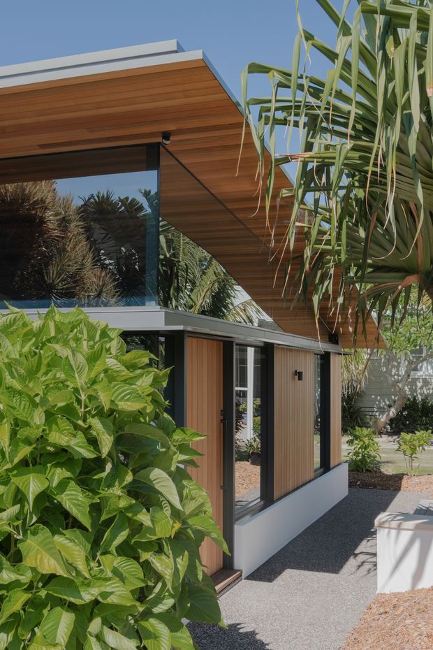 A modern single-storey pavilion-style building viewed from the landscaped exterior. The facade combines dark-framed floor-to-ceiling glazing, warm vertical timber wall cladding, a broad timber-lined soffit, and crisp white roof and base elements. Dense tropical planting frames a gravel walkway and partially conceals the structure. The roof has a low-pitched, projecting form with clean contemporary lines.