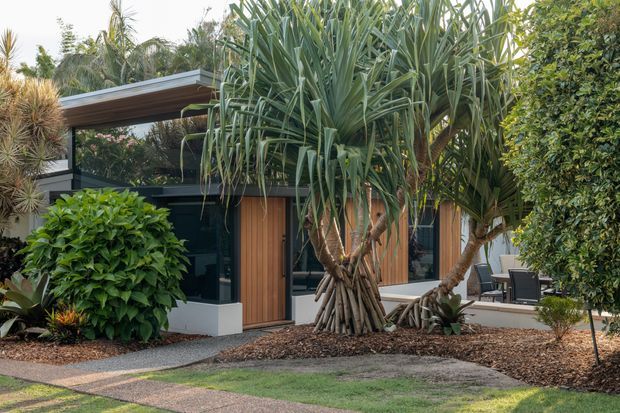 Exterior view of a contemporary single-storey home set within a lush landscaped garden. The building has dark framed glazing, warm vertical timber doors and cladding, and a broad low-pitched roof overhang. Large sculptural tropical plants and mature hedges surround a gravel and concrete-paver path, with a partially visible outdoor seating area.