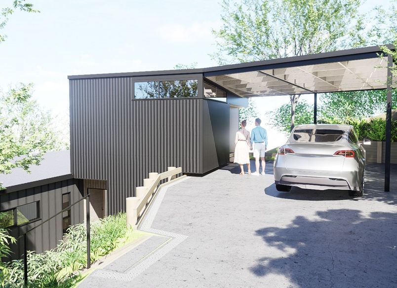 Pīwakawaka - Waiheke