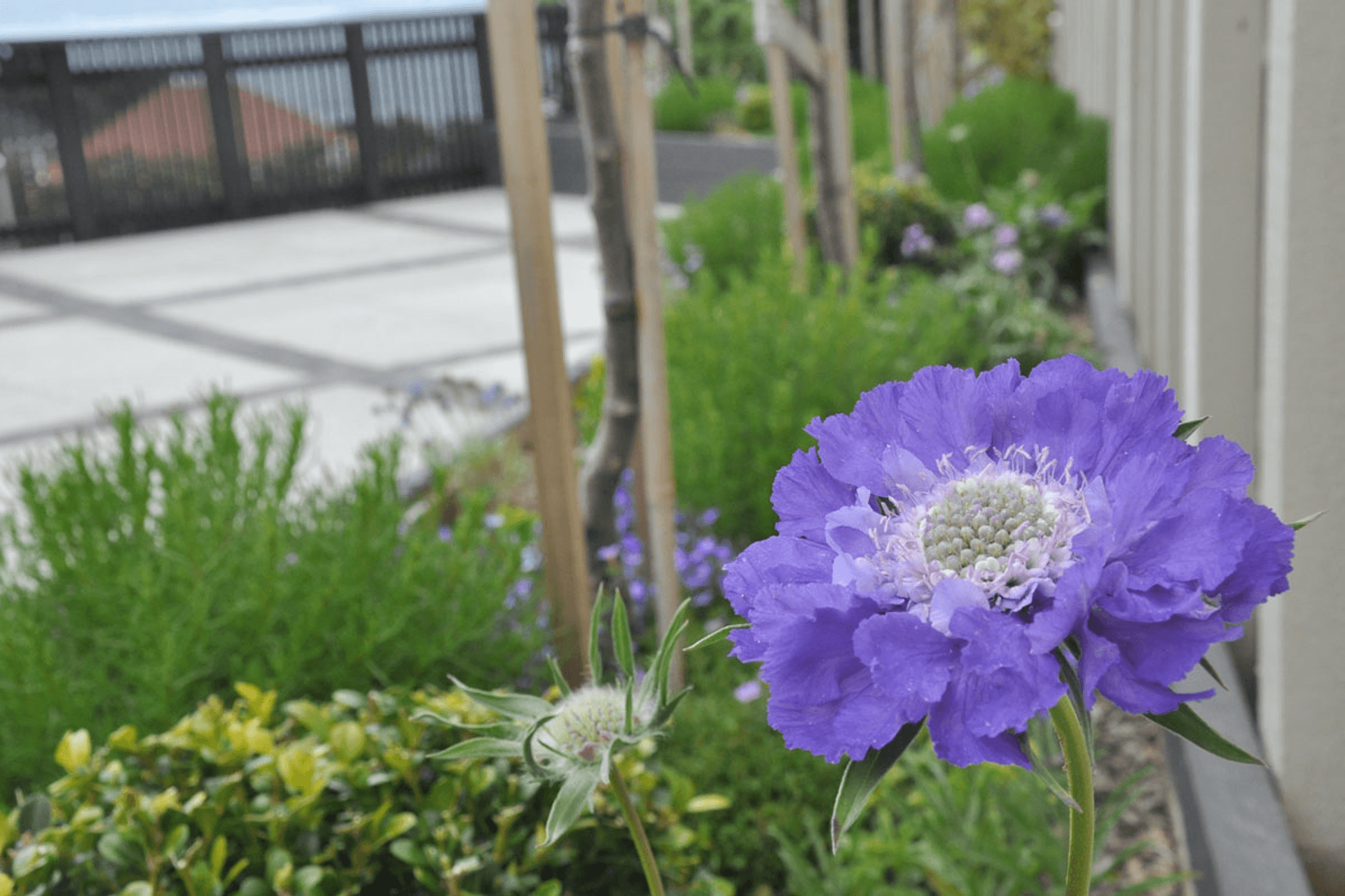 Wadestown property - Horizon International Terrazzo Veneto and Basalt stone.