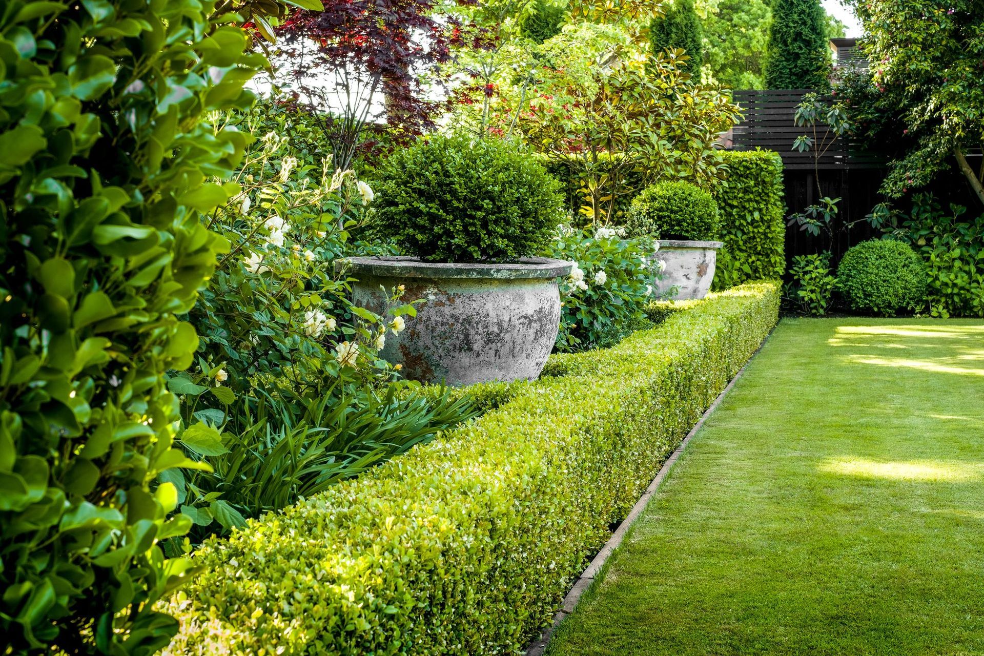 Helmores Lane, Christchurch